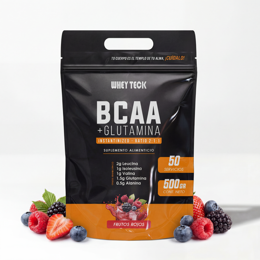 BCAA 500 GR
