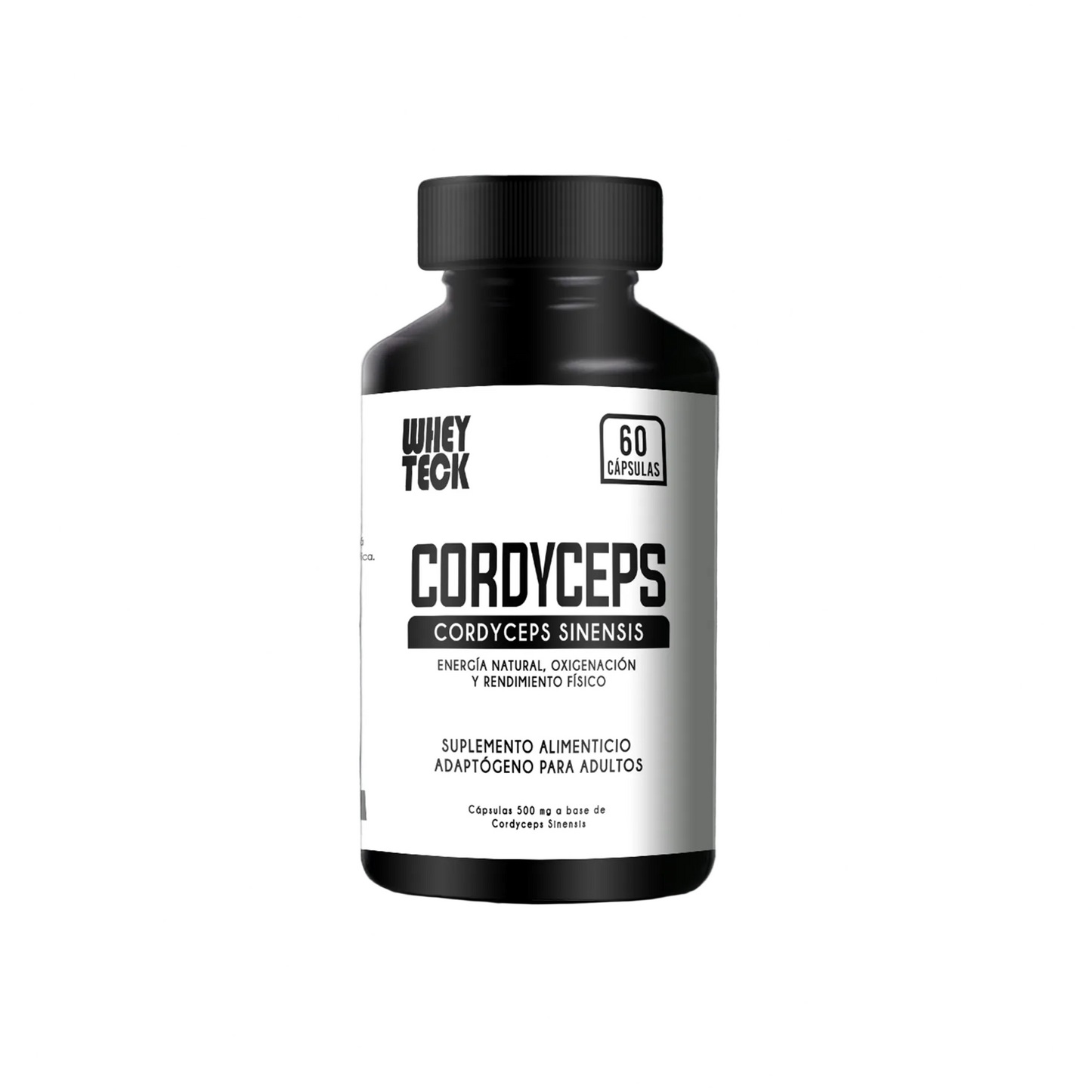 CORDYCEPS