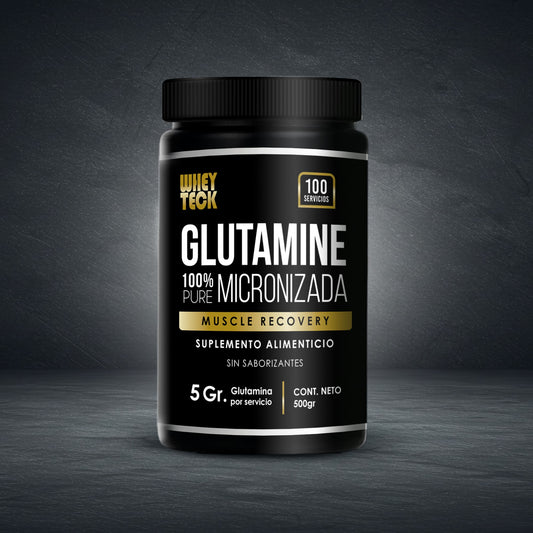 GLUTAMINA 500 GR
